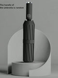 Royal Simple Umbrella – Minimal Umbrella with Auto Open/Close Umbrella